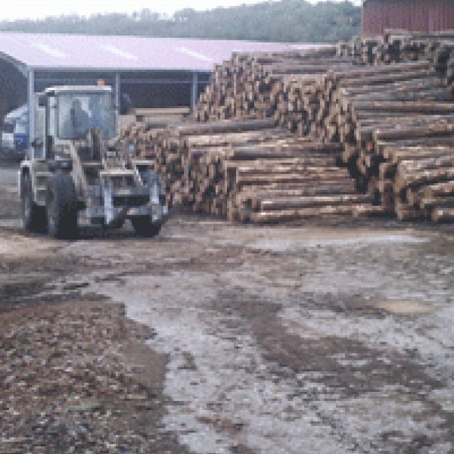 Aserradero de madera en Burgos