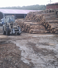 Aserradero de madera en Burgos